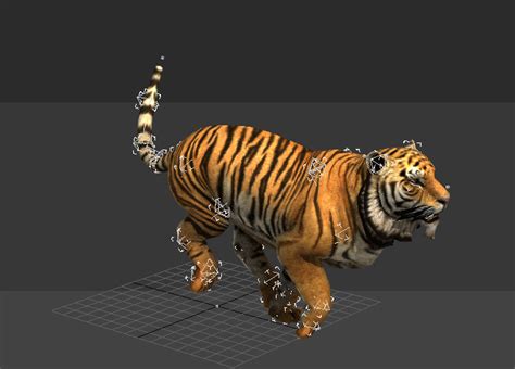 3d Animal Animation Free Download 3D Animal Animation: Unleashing The Power Of Digital Creatures