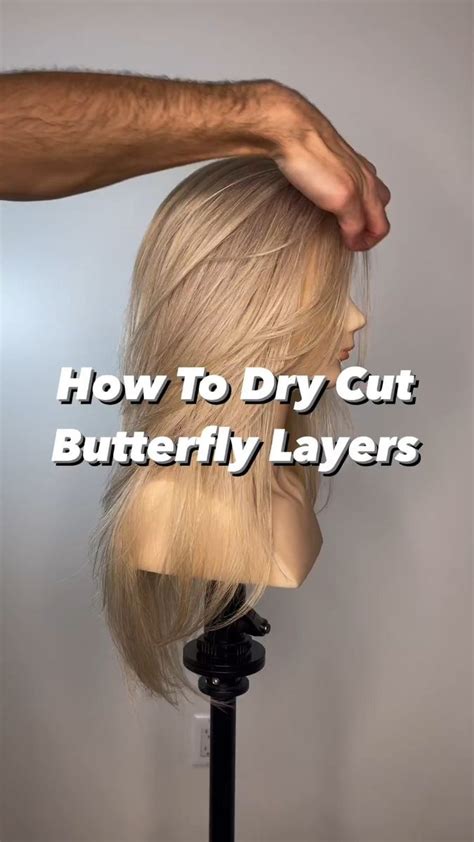 Dry Cut Butterfly Layer Dry Cut Butterfly Layer: A Comprehensive Guide