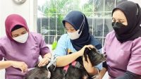 Animal Clinic Jakarta Animal Clinic Jakarta: Comprehensive Healthcare For Your Beloved Pets