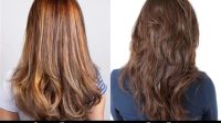 Layer Cut Vs Butterfly Cut Layer Cut Vs Butterfly Cut: A Comprehensive Guide To Enhance Your Hair